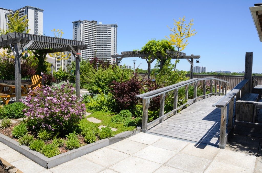 Rooftop garden of a commercial building