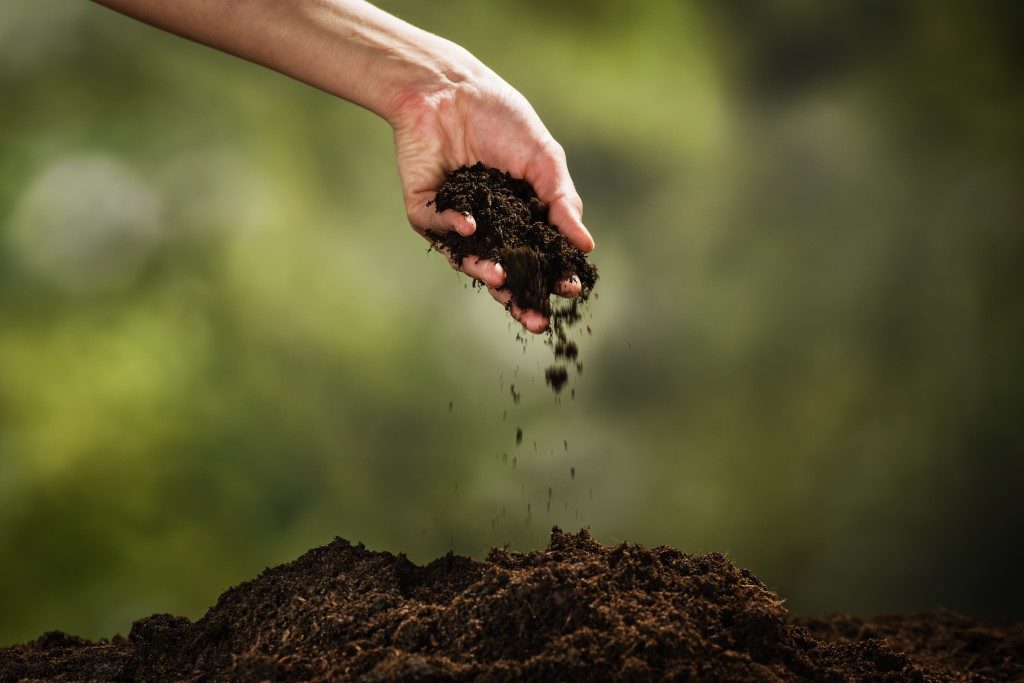 hand touching the soil