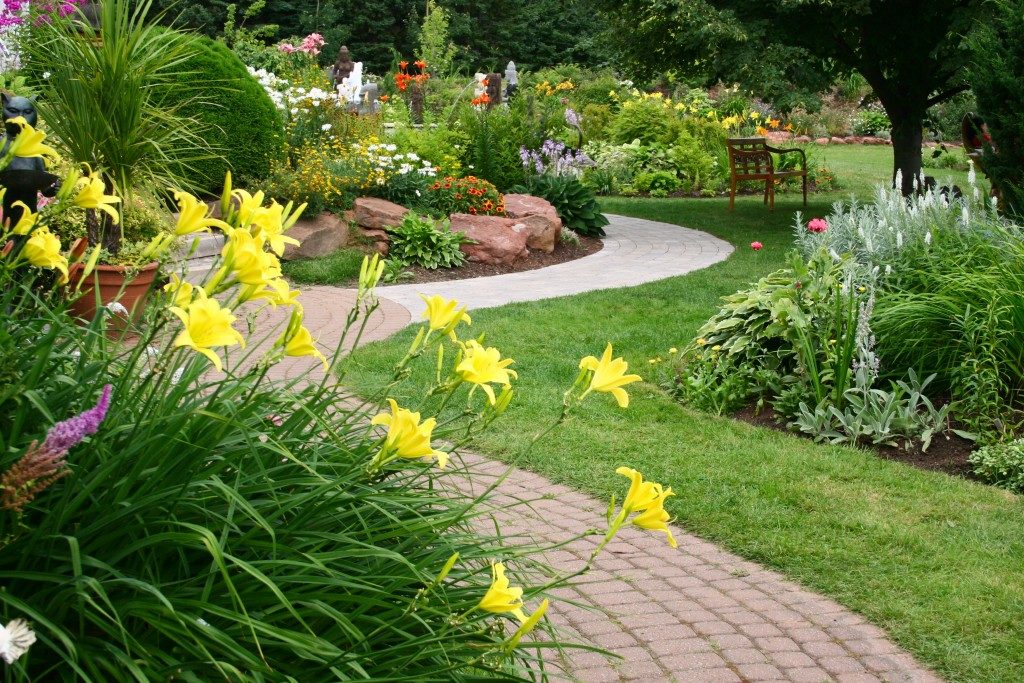 Garden landscaping with pathway